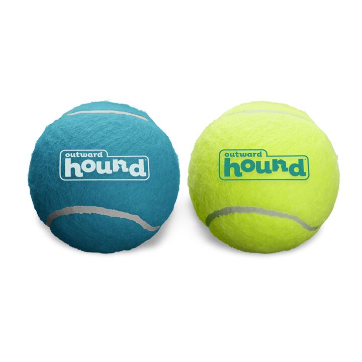 Outward Hound Squeaker Ball Dog Toy