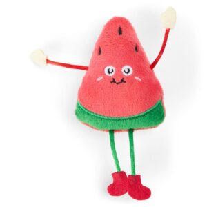 The Catsentials Watermelon With Catnip Cat Toy