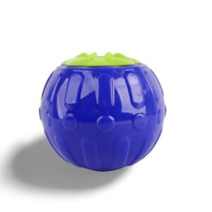 Afp Berry Treat Dispenser Dog Toy