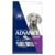 Advance Large Adult Dry Dog Food Turkey With Rice