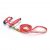 Anipal Bertie The Bee Cat Harness And Lead Small