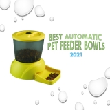 Best Dog & Cat Automatic Feeder bowls