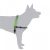 Black Dog Balance Dog Halter with Front & Back attach D-Rings – Medium Green