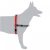 Black Dog Balance Dog Halter with Front & Back attach D-Rings – Small – Red