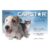Capstar For Cats And Small Dogs 0.5 To 11kg (Blue) 6 Tablet