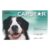 Capstar For Large Dogs Over 11kg (Green) 6 Tablet