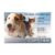 Capstar for Cats and Small Dogs 0.5-11kg 6 pack
