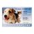 Capstar For Cats And Small Dogs 0.5 To 11kg (Blue) 6 Tablet