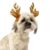 Christmas By Pet Circle Santas Little Helper Dog Antlers