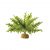 Exo Terra Boston Fern Medium