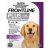 Frontline Plus For Large Dogs 20 To 40 Kg (Purple) 12 Pipettes