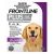 Frontline Plus For Large Dogs 20 To 40 Kg (Purple) 6 Pipettes