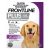 Frontline Plus For Large Dogs 20 To 40 Kg (Purple) 3 Pipettes