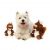 Fuzzyard Plush Toy Nuts The Squirrel Large