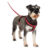 Halti – Comfy Harness – Extra Small – Red 1 Pack