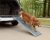 Happy Ride Solvit Deluxe Telescopic Dog Ramp – X Large up to 221cm