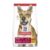 Hills Science Diet Adult Chicken and Barley Dry Dog Food 12kg