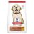 Hill’s Science Diet Puppy Large Breed Dry Dog Food 7.03kg
