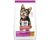 Hills Science Diet Puppy Small Paws Dry Dog Food 1.5kg