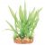 Kazoo Combination Bush Green With Thin Leaf Small
