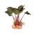 Kazoo Silk Plant Large Leaf Dark Green Large