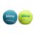 Outward Hound Squeaker Ball Dog Toy