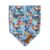 Pawfect Pals Little Dude Bandana