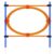 Pawise Agility Ring