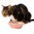 Paws For Life Scallop Ceramic Pet Bowl Pink