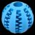Paws for Life Interactive Ball