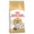 Royal Canin Adult Ragdoll 10kg