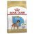 Royal Canin Boxer Junior (Puppy) 12kg