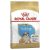 Royal Canin Bulldog Junior (Puppy) 12kg
