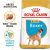 Royal Canin Canine Boxer Junior Dog Food 12kg