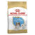 Royal Canin Cavalier King Charles Puppy Junior Dry Dog Food 1.5 Kg