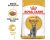 Royal Canin British Shorthair Adult Cat Dry Food 4kg