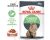 Royal Canin Feline Digestive Sensitive Care Cat Food In Gravy 85g