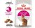Royal Canin Exigent Savour Sensation Adult Cat Food 2kg