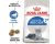 Royal Canin Indoor 7+ Adult Cat Dry Food 3.5kg