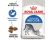 Royal Canin Indoor Adult Cat Dry Food 2kg