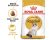 Royal Canin Ragdoll Adult Cat Dry Food 10kg