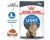 Royal Canin Feline Ultra Light Care Cat Food In Gravy 85g