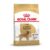 Royal Canin Golden Retriever Adult Dry Dog Food
