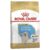 Royal Canin Golden Retriever Junior (Puppy) 12kg