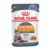 Royal Canin Hair And Skin Jelly Wet Cat Food Pouches