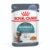 Royal Canin Hairball Care Jelly Adult Wet Cat Food Pouches