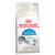 Royal Canin Indoor Adult Dry Cat Food 400 Gm