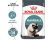 Royal Canin Hairball Care Adult Cat Dry Food 2kg