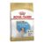 Royal Canin Jack Russell Puppy 1.5kg