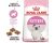 Royal Canin Kitten Dry Food 4kg
